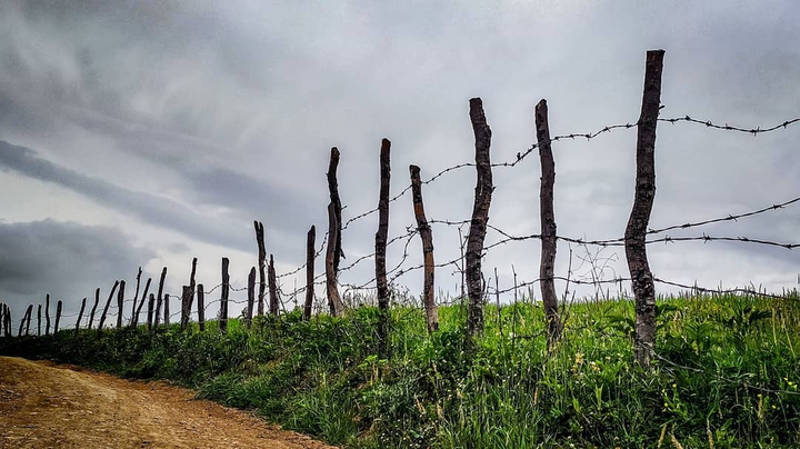 Behshahr Nature