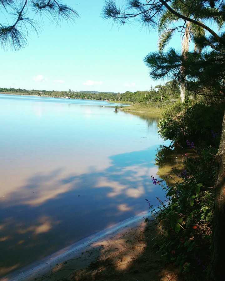 água do descaso .