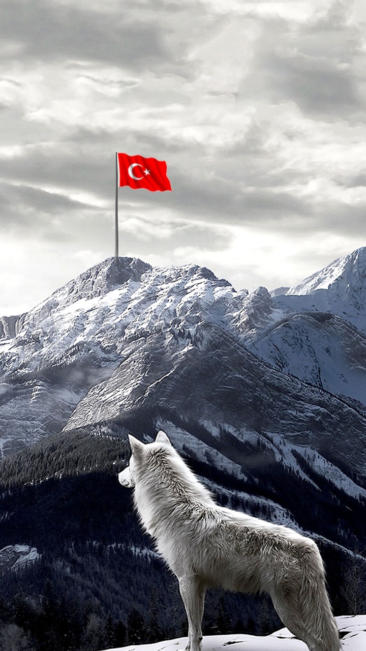 Rengin Güzelliği