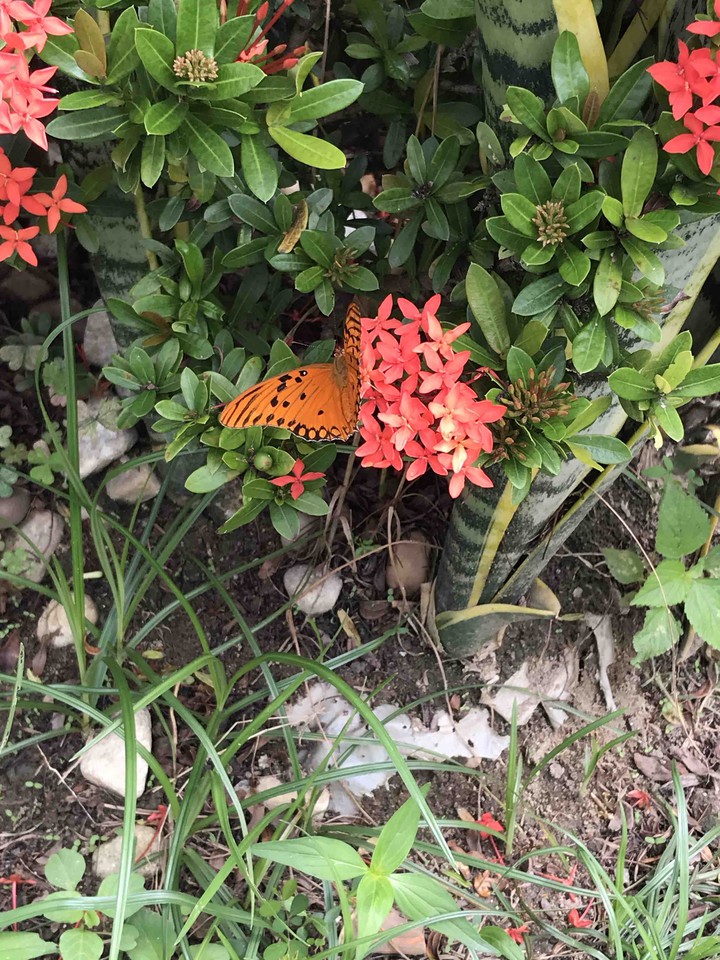 ?