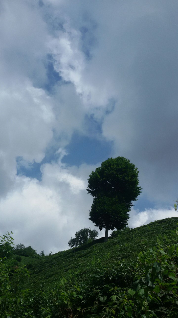 من عدستي