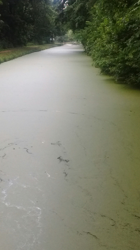 Water Road