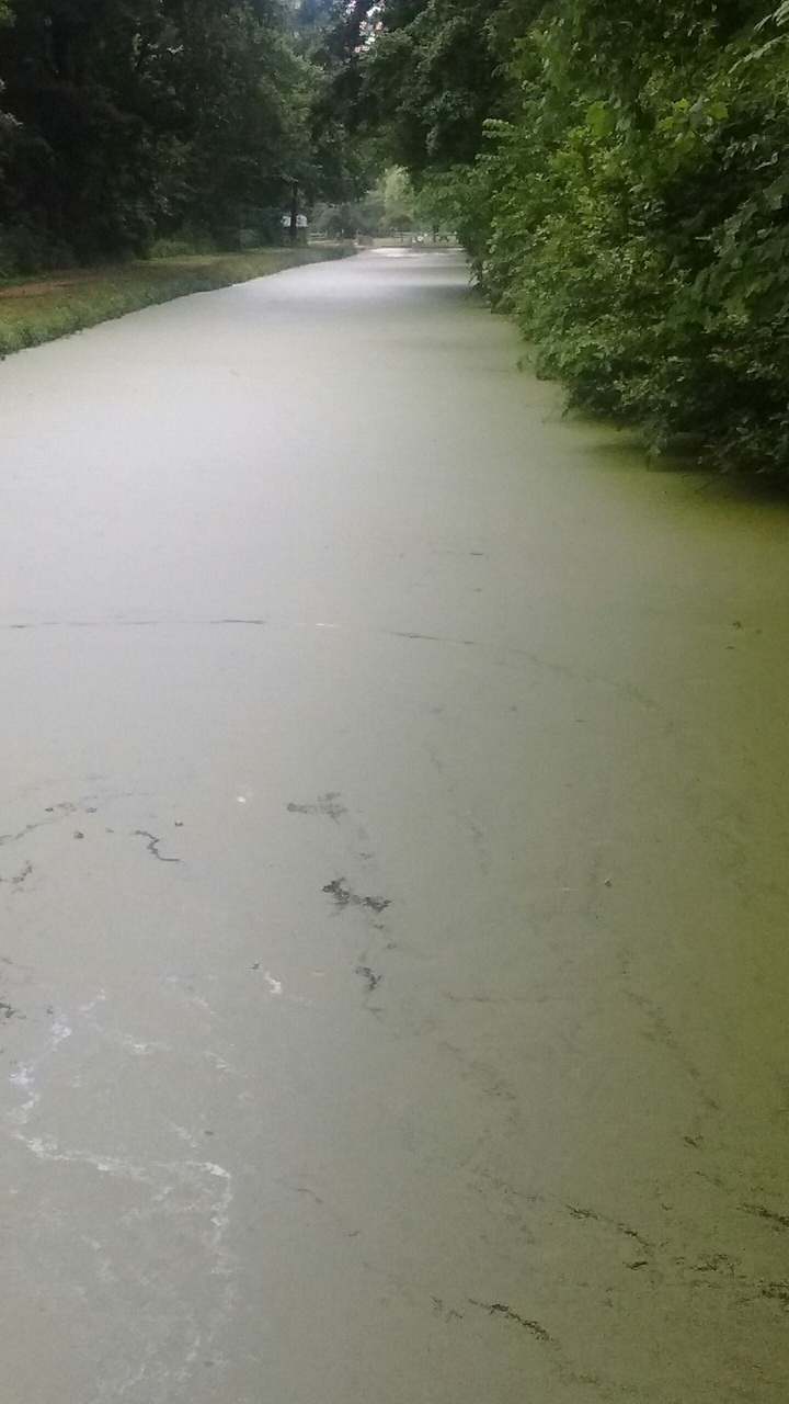Water Road