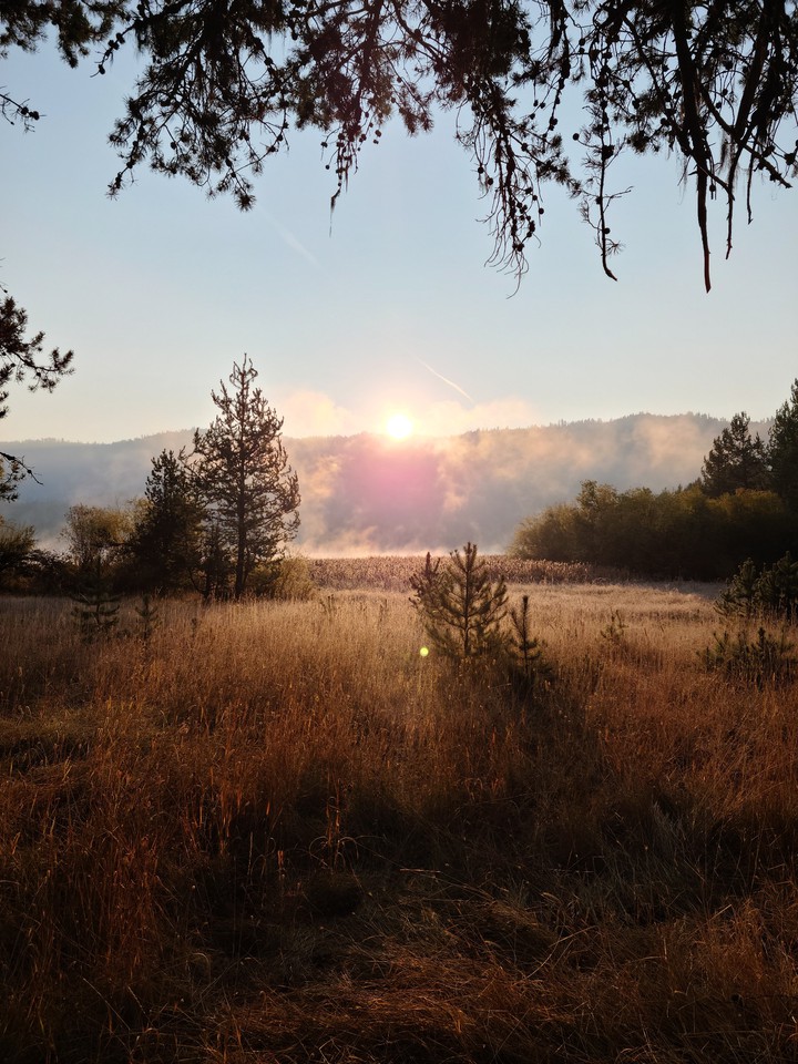 Frosty sunrise