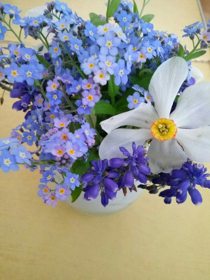 Весняні квіти
