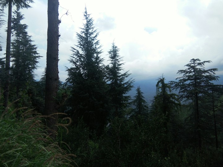nature