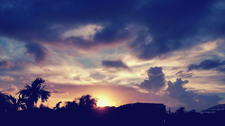 beautiful nature