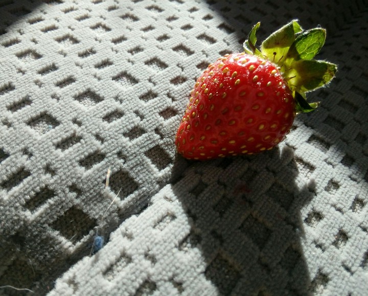 A lone strawberry