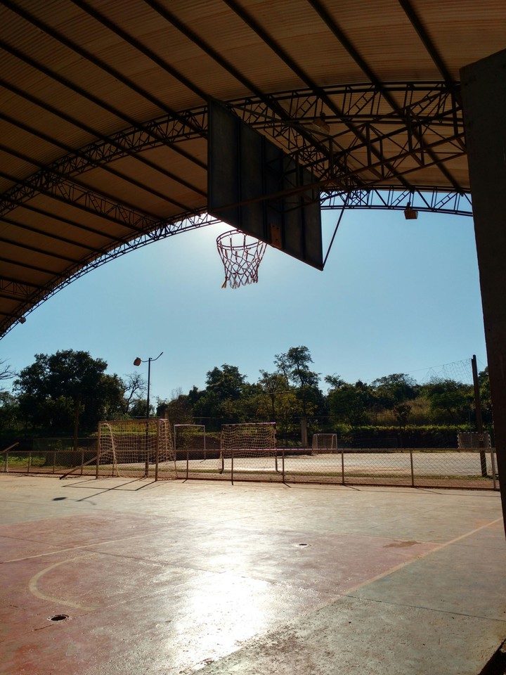 Daylight Basket
