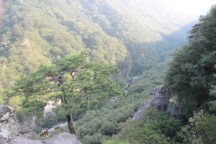 청옥산이미지