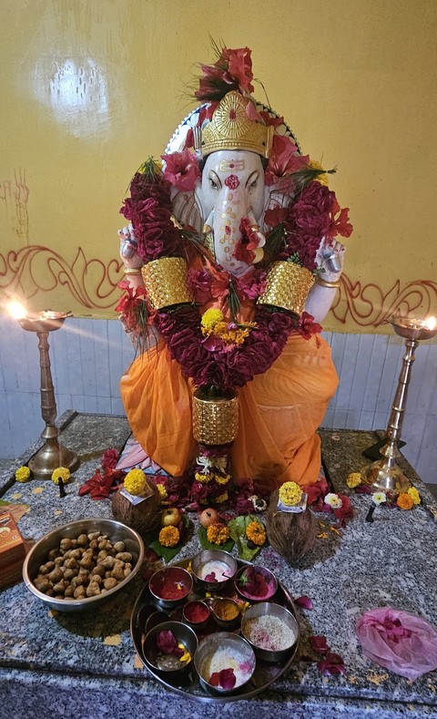 тапети temple, plant