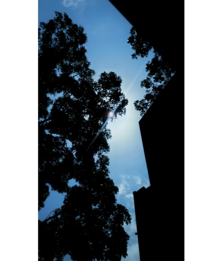 ফেব্রুয়ারি
