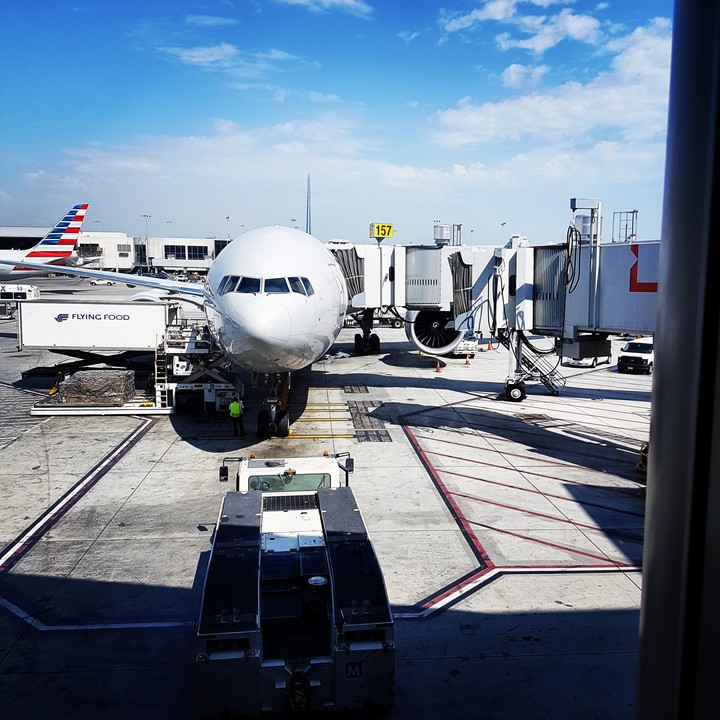 Anticipation of flight