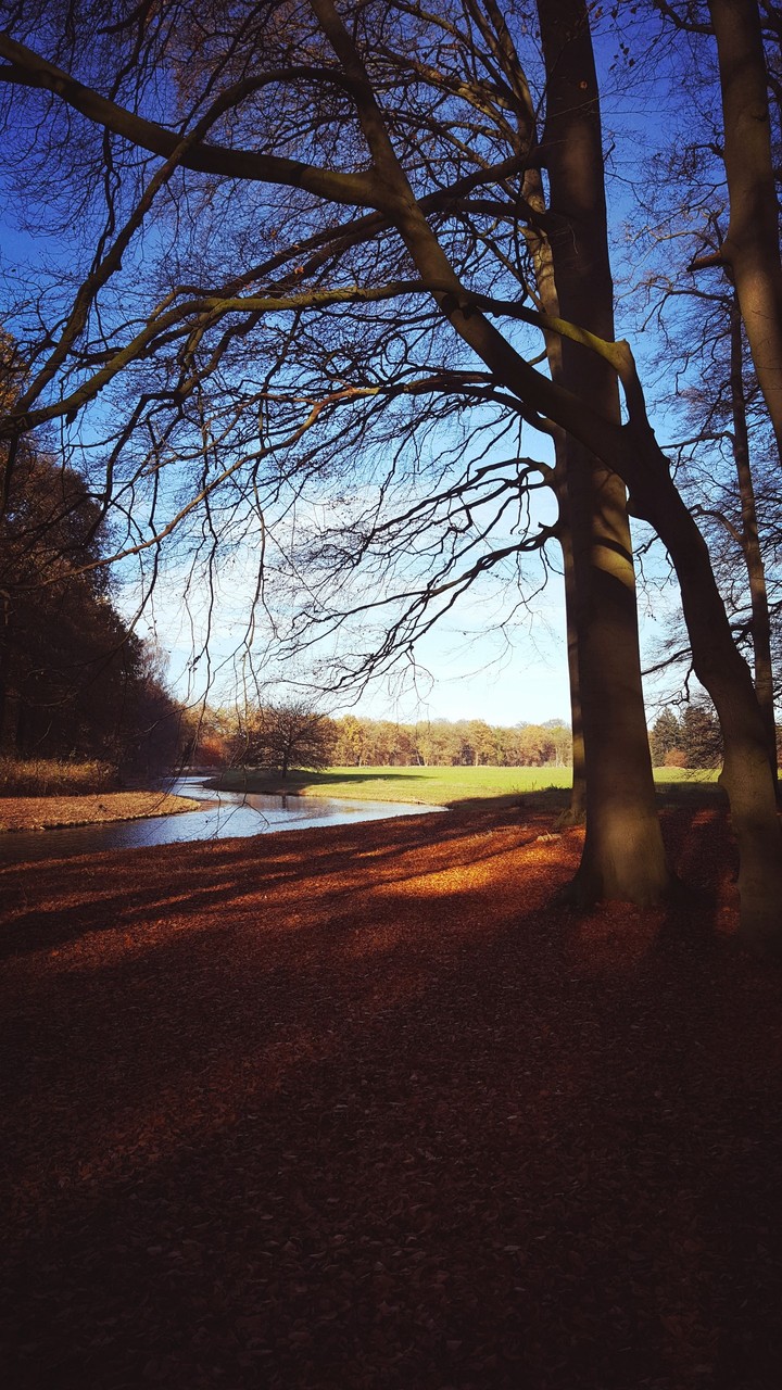 meandering river in Holland