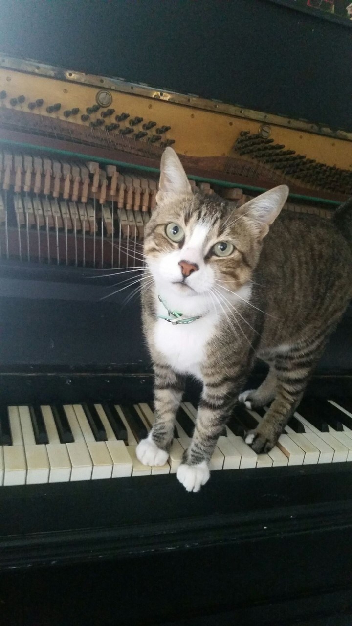 Music