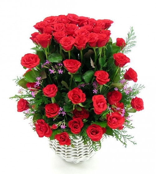 Roses