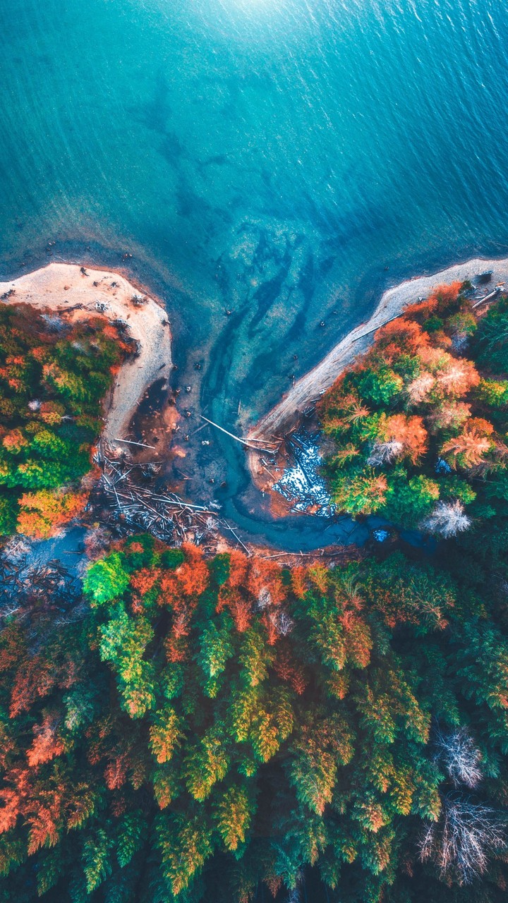 nature