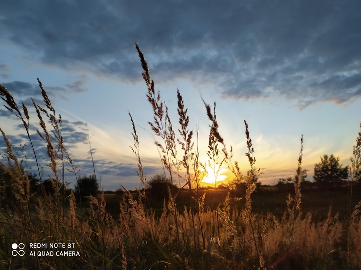 sun sunset evening
