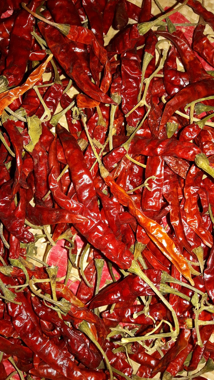 Red chilies