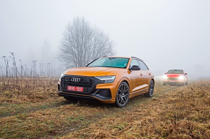 audi and porsche