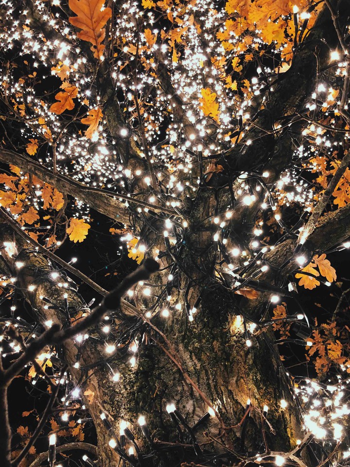Look up