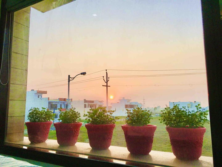 sunset