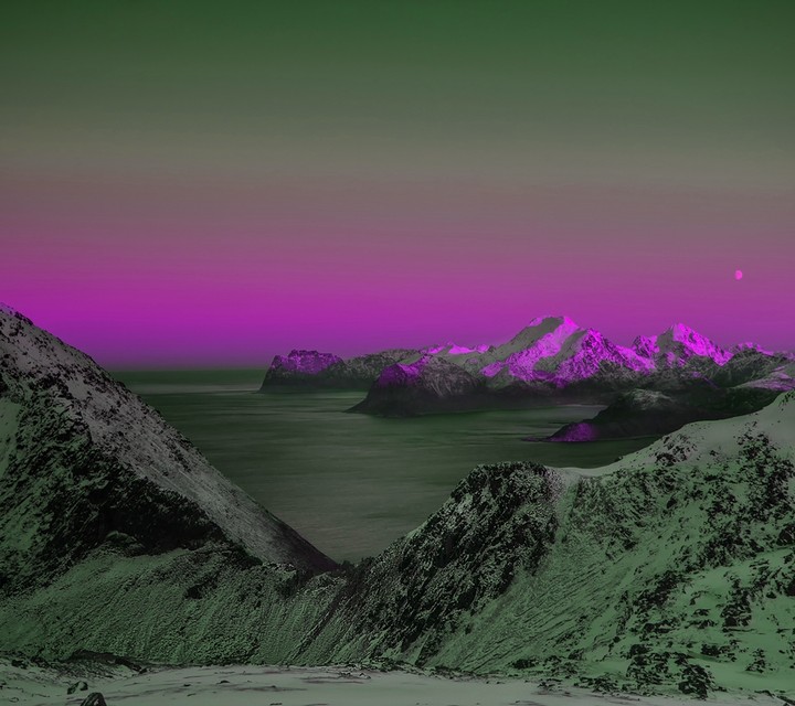 purple mountain