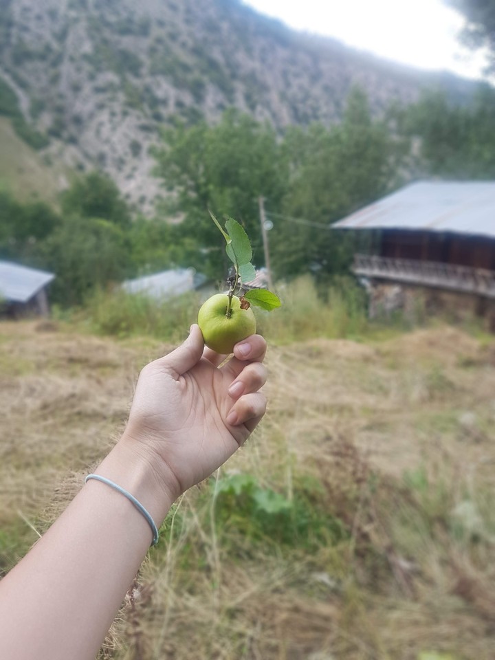 apple