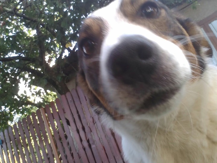 regarde moi