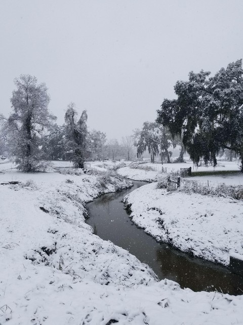 winter wonderland