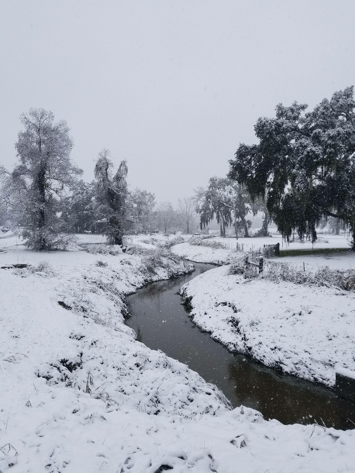 winter wonderland