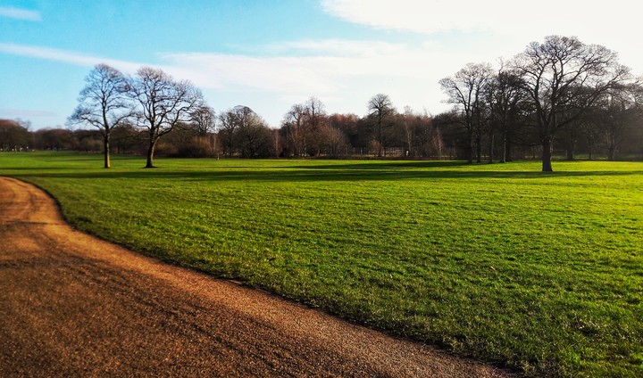 witton park
