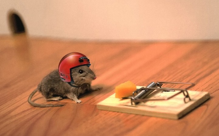 danger !!!