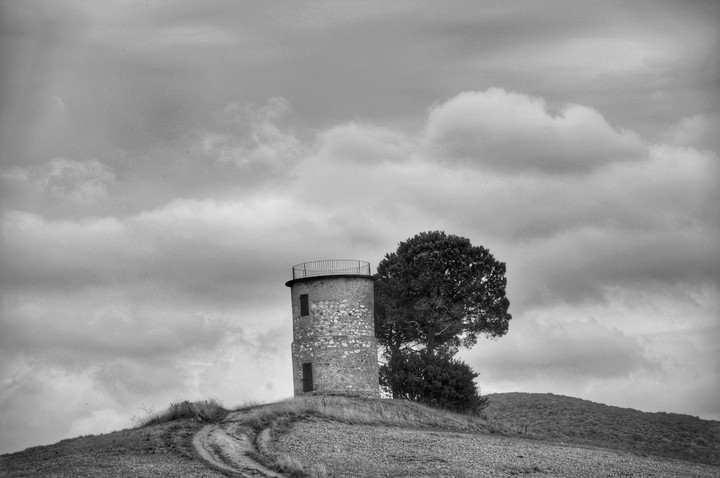 Il Mulino di Bibbona