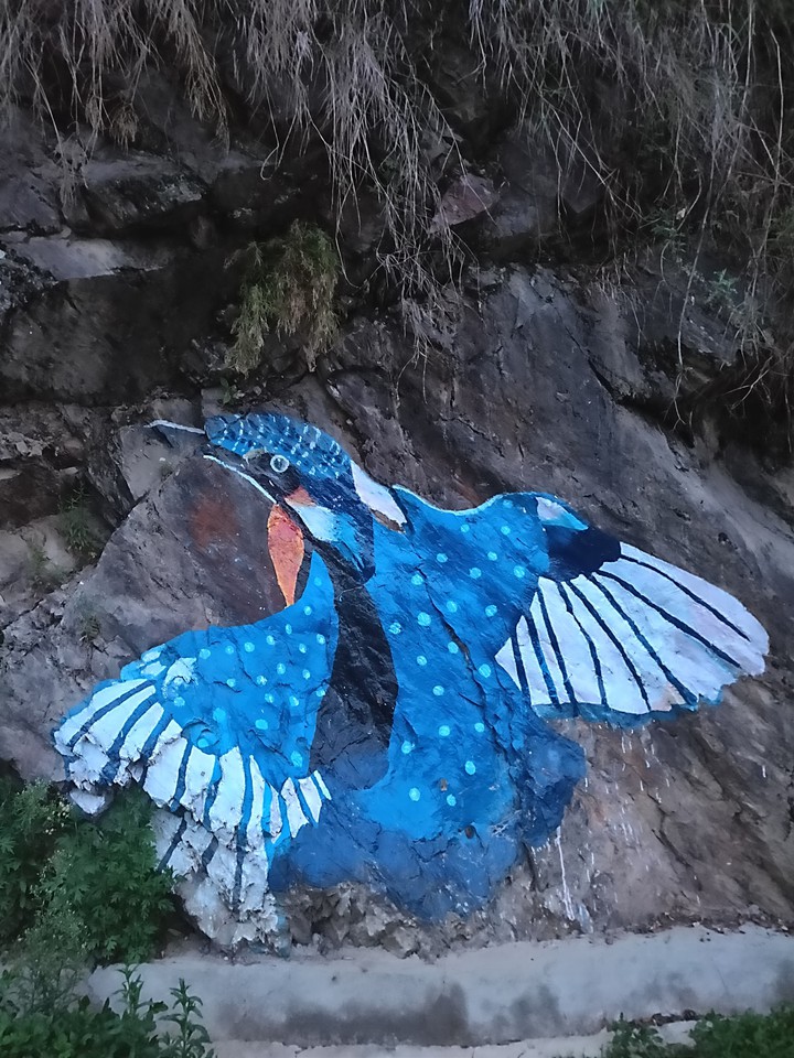 Rock art