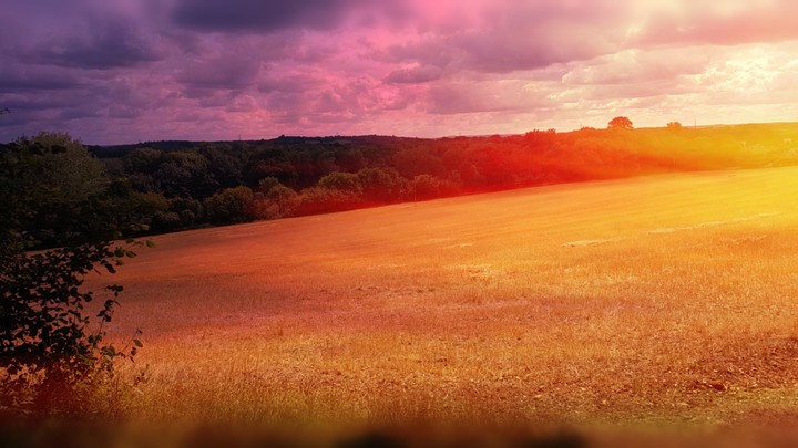 sunset