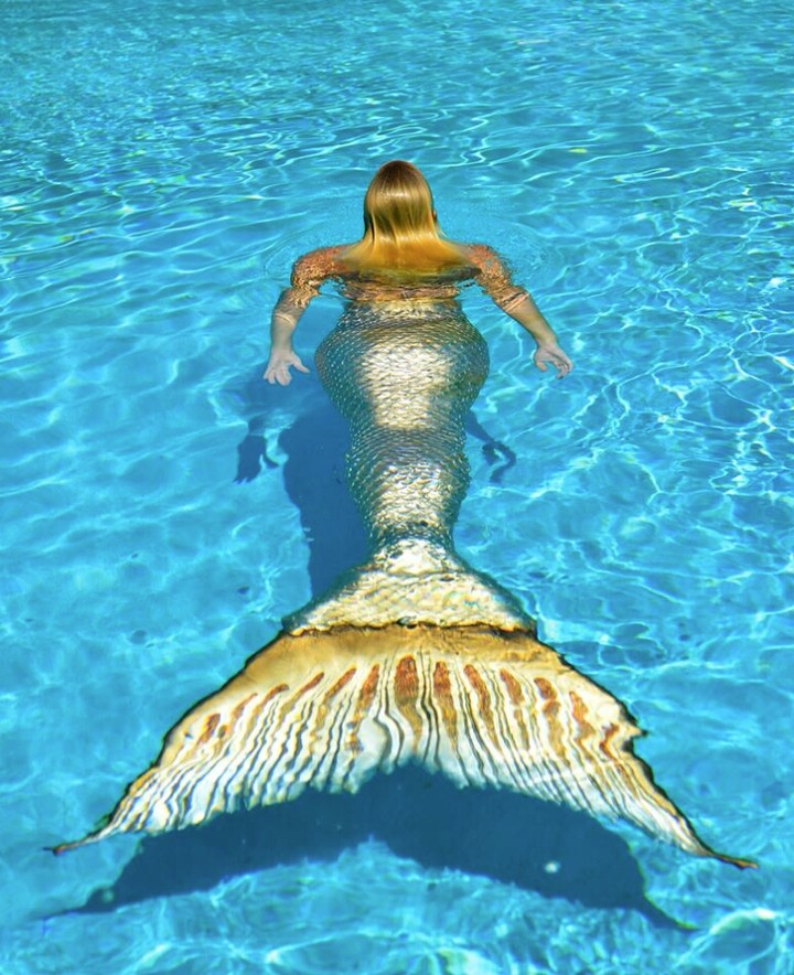 Golden Tailed Mermaid