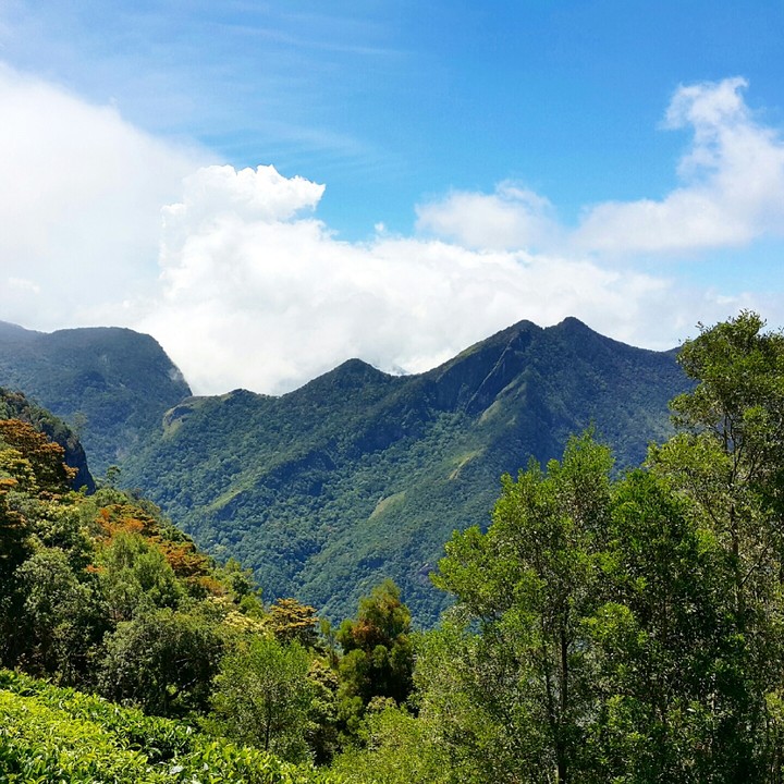 mountains