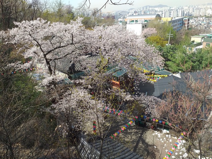 절과 꽃