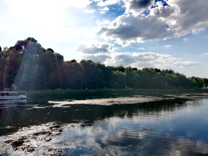 nature