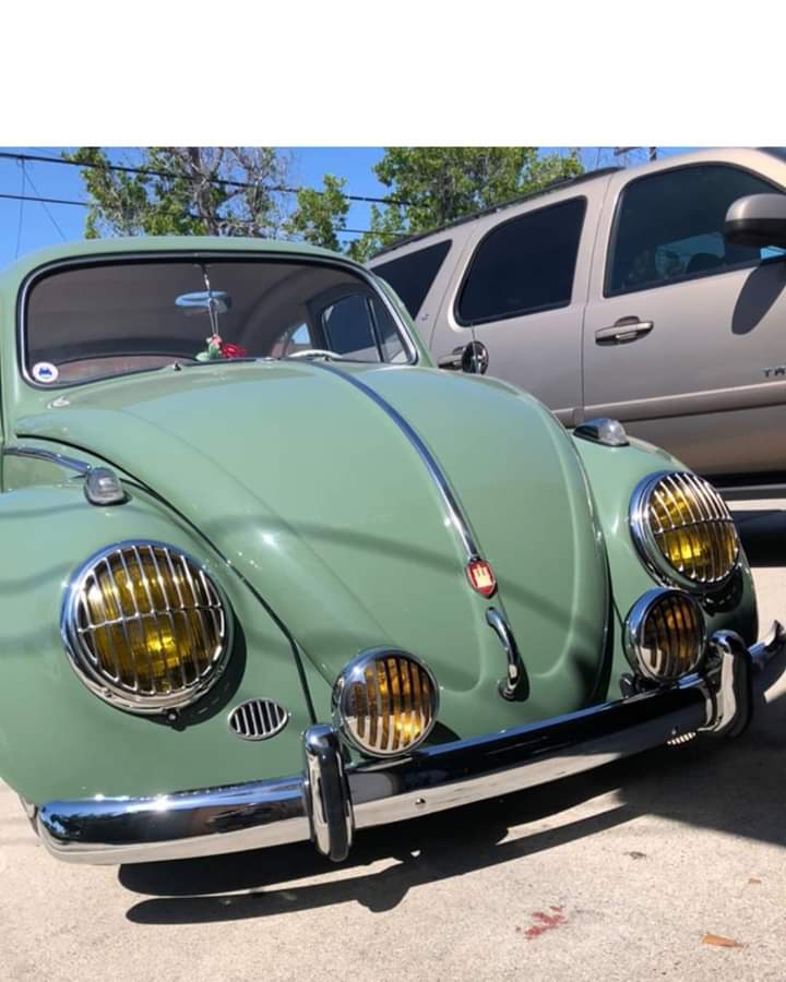 Volkswagen Beetle