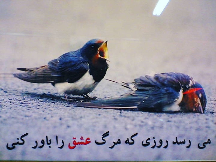 The day will come when you will believe in the death of love