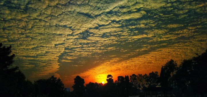 #sky #sun #clouds #tree