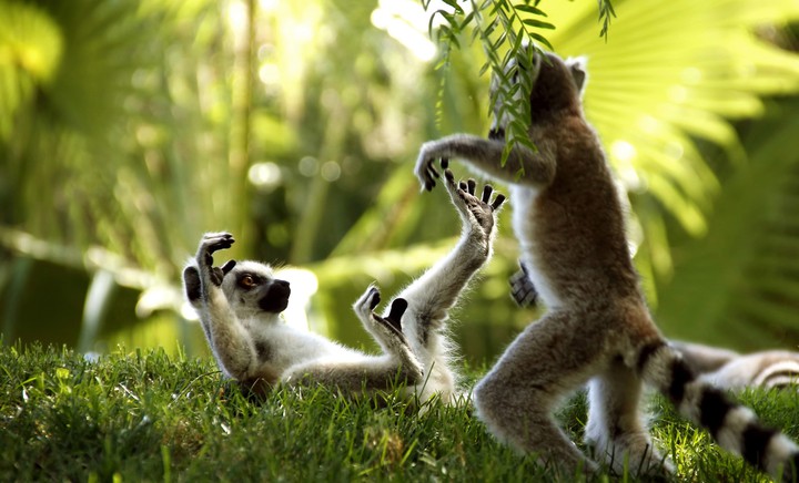 playing