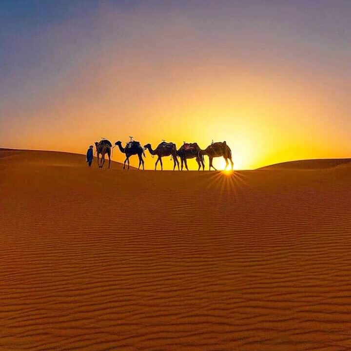 Merzouga Morocco⭐⭐⭐