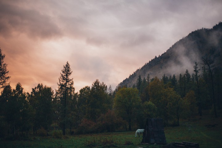 field