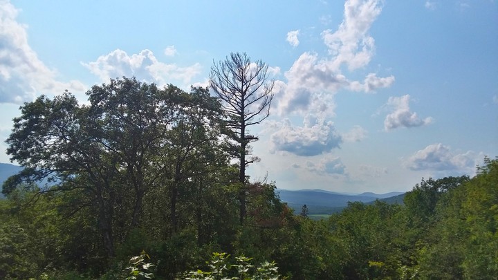 Summer in New Hampshire