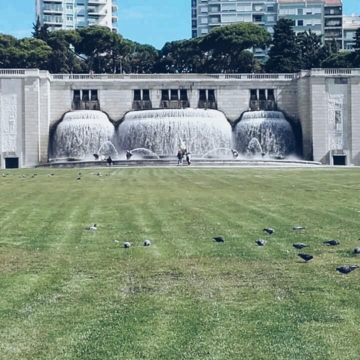 Jardim