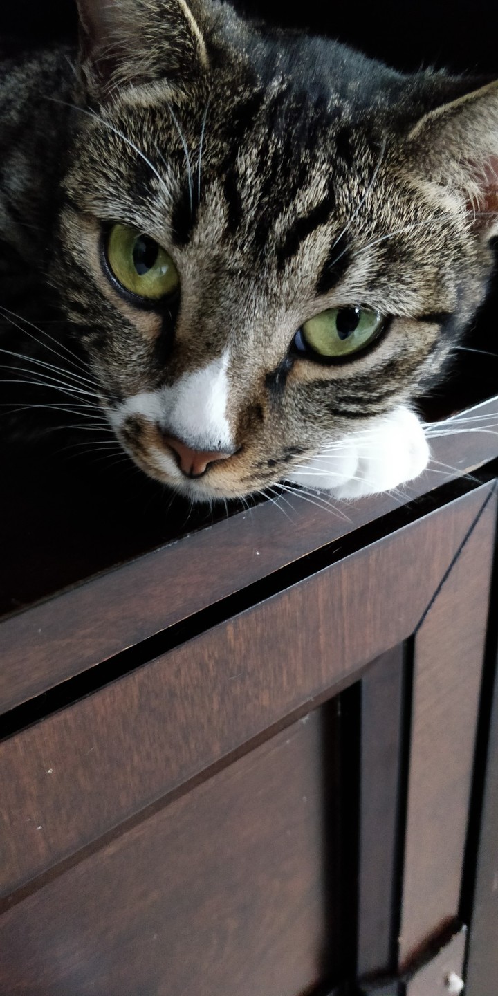 Deep stare