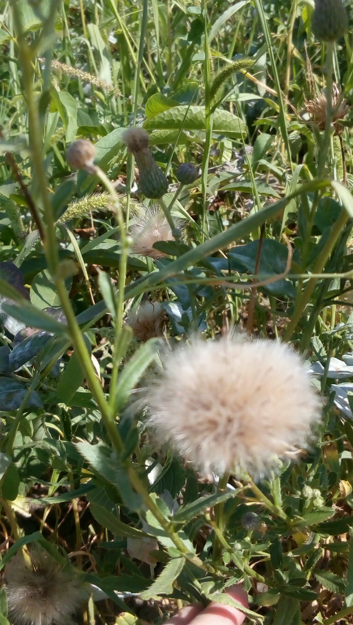 Природа